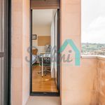 Alquilo 3 dormitorio apartamento de 89 m² en Oviedo