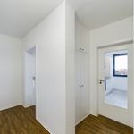 Rent 2 bedroom apartment of 64 m² in Wilhelmshaven