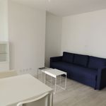 Appartement de 25 m² avec 1 chambre(s) en location à Dax