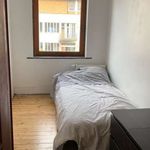 Rent 2 bedroom apartment of 55 m² in Ixelles