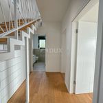 Rent 3 bedroom apartment of 105 m² in Ika
