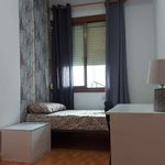 Rent a room of 83 m² in Alicante