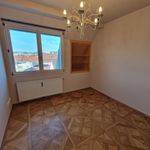 Rent 3 bedroom apartment of 97 m² in Graz
