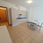 Rent 1 bedroom apartment of 48 m² in Como