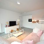 Rent 2 bedroom house of 115 m² in Grimbergen