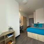 Rent 1 bedroom student apartment of 21 m² in Belfast