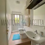 Rent 3 bedroom apartment of 90 m² in Borgo Virgilio