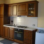 Affitto 1 camera appartamento di 38 m² in Torino