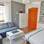 Rent 1 bedroom house in Trutnov