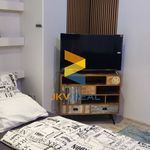 Rent 1 bedroom apartment of 28 m² in Konice