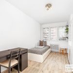 Rent 3 bedroom apartment in Pardubice