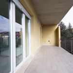 Affitto 2 camera appartamento di 80 m² in L'Aquila