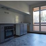 Rent 2 bedroom apartment of 64 m² in Toulouse
