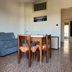Affitto 1 camera appartamento di 58 m² in Torino