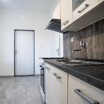 Rent 1 bedroom apartment in Trutnov