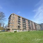 Rent 1 bedroom apartment of 42 m² in Evere