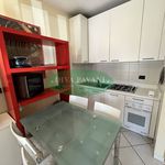 Rent 2 bedroom apartment of 50 m² in San Donato Milanese