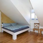 Miete 1 Schlafzimmer wohnung von 35 m² in Potsdam