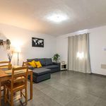 Rent 2 bedroom apartment of 65 m² in Santa Cruz de Tenerife