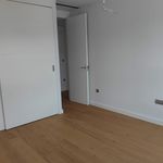 Rent 3 bedroom apartment of 116 m² in Elche