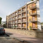 Affitto 1 camera appartamento di 95 m² in Rodì Milici