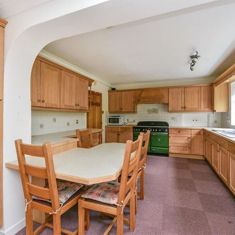 Detached house to rent in Stoatley Rise, Haslemere, Surrey GU27 Camelsdale