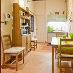 Rent 1 bedroom house of 70 m² in Toledo