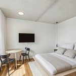 Miete 1 Schlafzimmer studentenwohnung von 21 m² in Berlin