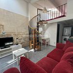 Rent 1 bedroom apartment in ArlesT