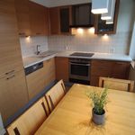 Rent 4 bedroom apartment of 100 m² in Wrocław