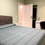 Affitto 4 camera appartamento di 100 m² in Pavullo nel Frignano