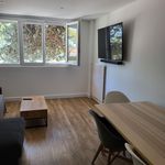 Rent 3 bedroom apartment of 64 m² in CALUIRE