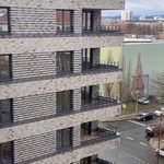 Rent 3 bedroom apartment of 80 m² in Dresden