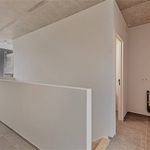 Rent 2 bedroom house in Antwerp