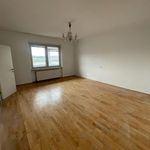 Rent 3 bedroom apartment of 107 m² in Schwechat