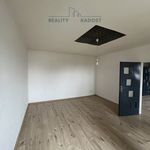 Rent 1 bedroom apartment of 40 m² in Orlová