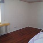 Rent 4 bedroom apartment of 250 m² in Gaziosmanpaşa