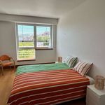 Rent 2 bedroom apartment of 140 m² in Lisboa