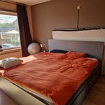 Rent 1 bedroom apartment of 60 m² in Haaltert