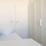 Rent a room of 67 m² in berlin