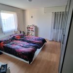 Rent 4 bedroom apartment in Steinach