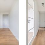 Rent 2 bedroom apartment of 76 m² in Leiden