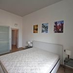 Affitto 6 camera appartamento di 130 m² in Florence