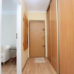 Rent 3 bedroom apartment of 48 m² in Goleniów