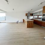Rent 1 bedroom house of 265 m² in Praha