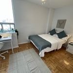 Silver Plus Room - D (Has an Apartment)