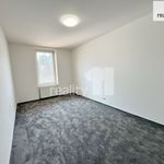 Rent 2 bedroom apartment of 73 m² in Smržovka