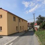 Rent 1 bedroom apartment of 42 m² in Samotíšky