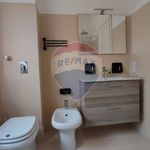 Rent 3 bedroom apartment of 68 m² in Mantova