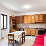Affitto 4 camera appartamento di 98 m² in Albano Laziale